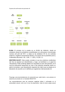 Esquema de Confirmación VIH: Pruebas y Prevención