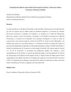 Evaluación del estado de conservación de Browningia hernandezii y Melocactus andinus (Cactaceae) en Boyacá, Colombia (1)