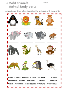 Wild Animals Worksheet: Matching Activity for Kids