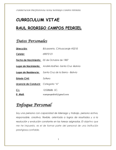 Currículum Vitae Raul Campos Pedriel | Experiencia y Certificados