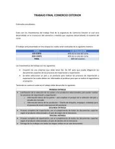 Guía Trabajo Final Comercio Exterior: Importación y Exportación