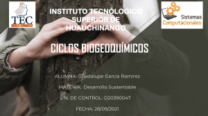 Ciclos Biogeoquímicos: Presentación Educativa