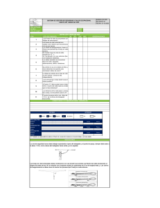 Checklist Líneas de Vida - Seguridad y Salud Ocupacional