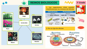PRIMERA CLASE- REINOS BIOLÓGICOS