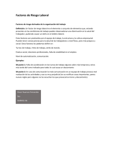 Factores de Riesgo Laboral: Organización del Trabajo
