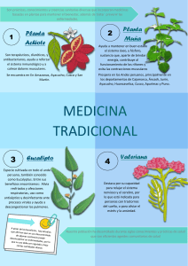 Medicina Tradicional Peruana: Plantas y Beneficios