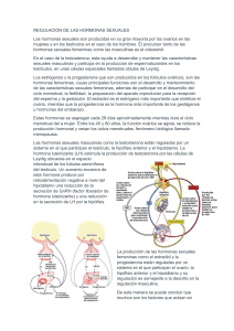 Regulación Hormonas Sexuales: Testosterona, Estrógenos y Progesterona