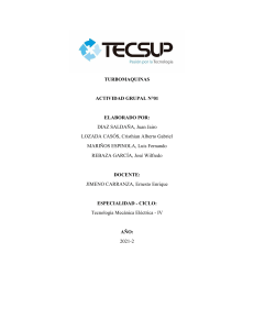 Turbomáquinas: Actividad Grupal - Problemas Resueltos