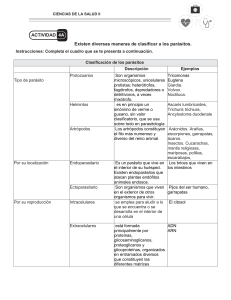 Hoja de Trabajo: Clasificación de Parásitos - Biología y Parasitología