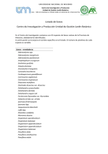 Lista de Lianas Nativas de Misiones, Argentina
