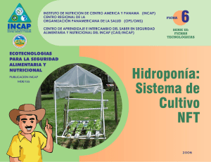 Hidroponía NFT: Sistema de Cultivo y Ventajas