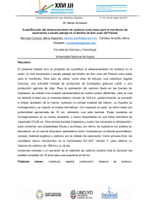 Almacenamiento de Carbono en San Juan del Paraná: Análisis Paisajístico