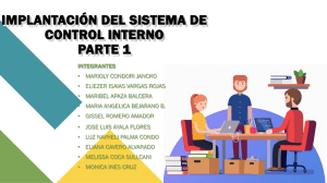 Implantación del Sistema de Control Interno: Guía y Estrategias