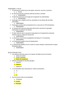 Cuestionario sobre páncreas, insulina y glucagón: Verdadero/Falso y Opción Múltiple