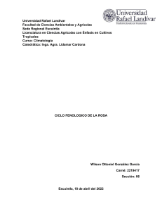 Ciclo Fenológico de la Rosa: Informe Agrícola