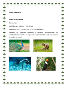 Animales y Ambiente: Actividad de Ciencias Naturales