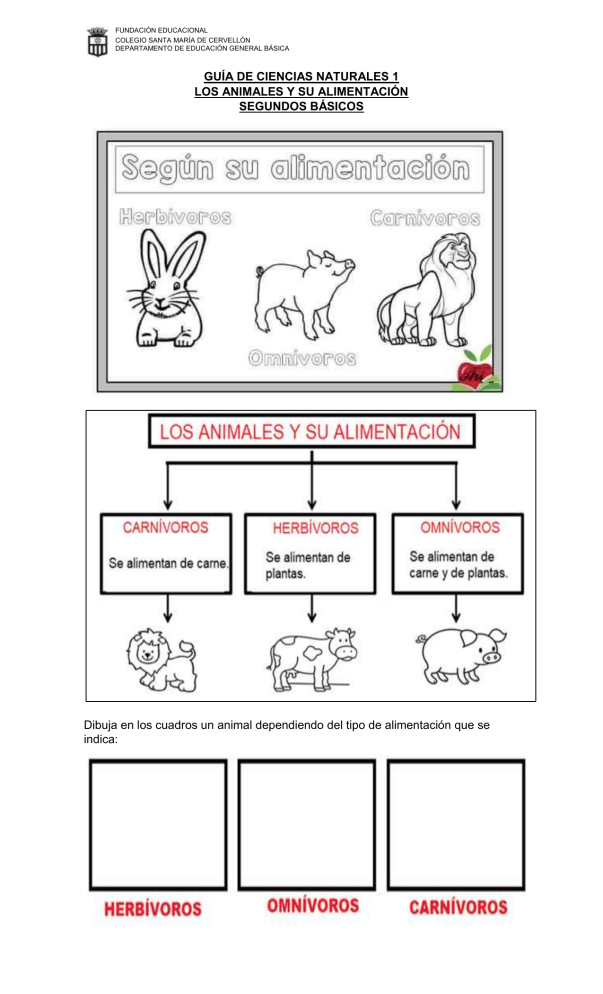 CLASIFICACIÓN DE LOS ANIMALES