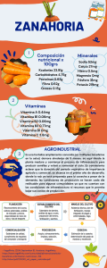 Zanahoria: Nutrición, Cultivo y Conservación