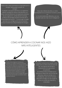 Cocina y Evolución Humana: Un Vínculo Inteligente