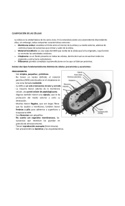 Clasificación de las Células: Guía de Estudio y Actividades