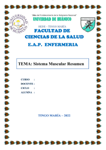 Sistema Muscular: Resumen de Enfermería