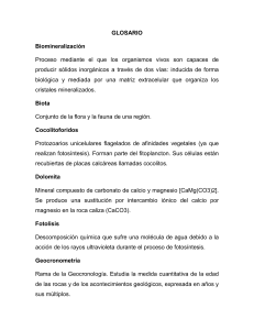 Glosario de Geología y Biología: Términos Clave