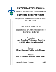 Proyecto de Exportación de Piña a McAllen, Texas
