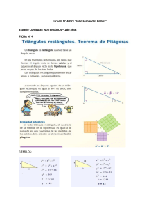 Triángulos Rectángulos: Teorema de Pitágoras - Ejercicios