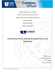 Procesos Bioquímicos: Importancia en el Organismo - Informe