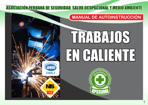 Manual de Trabajos en Caliente: Seguridad y Prevención