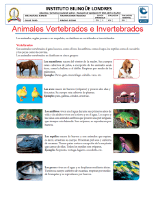 Guía de Evaluación: Animales Vertebrados e Invertebrados - 3er Grado