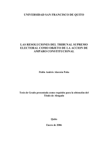 Amparo Constitucional vs. Resoluciones del Tribunal Supremo Electoral