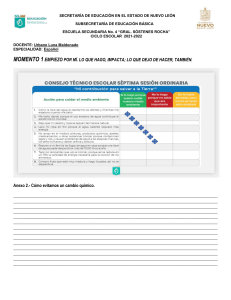 Documento de Trabajo Docente: Reflexión y Mejora Educativa