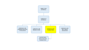 Organigrama Empresarial: Estructura Jerárquica