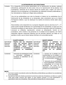 Extinción de Chicatanas: Plan de Lección Ciencias Naturales