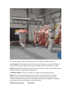 Informe de Seguridad Laboral: Frigorífico Friogan Villavicencio