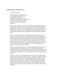 Dzogchen Praxis: Personal Advice on Meditation & Awareness
