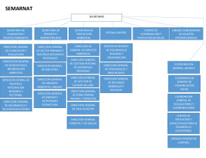 Organigrama SEMARNAT: Estructura y Direcciones