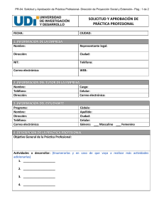Solicitud y Aprobación de Práctica Profesional UDI