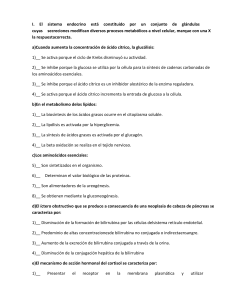 Examen de Bioquímica: Sistema Endocrino y Metabolismo