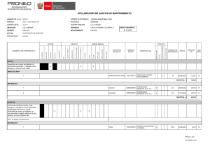 Declaración de Gastos de Mantenimiento I.E. [86451]