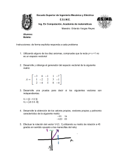 Examen Álgebra Lineal ESIME: Espacios Vectoriales y Matrices