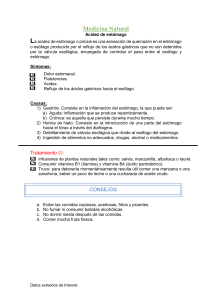 Acidez de Estómago: Causas, Síntomas y Tratamientos Naturales