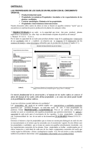 Suelo y Crecimiento Vegetal: Propiedades y Productividad