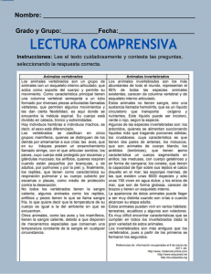 Lectura Comprensiva: Vertebrados e Invertebrados