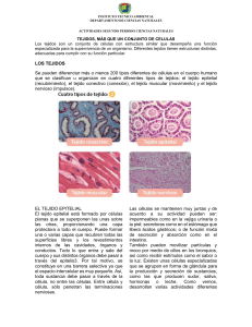 Tejidos: Actividades de Ciencias Naturales
