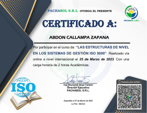 Certificado ISO 9000: Estructuras de Nivel
