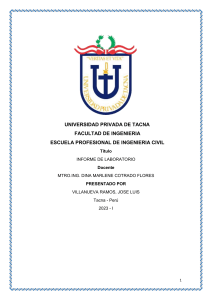 Informe Resistencia Albañilería: Ladrillos Blocker II
