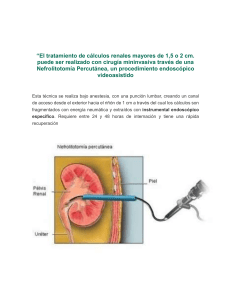 Nefrolitotomía Percutánea: Tratamiento de Cálculos Renales