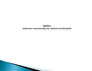 Derechos y Obligaciones del Derecho de Propiedad